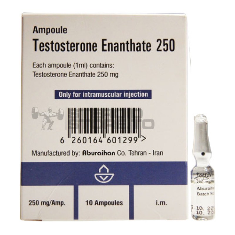 Курс тестостерон энантата: инструкция по применению, побочные эффекты