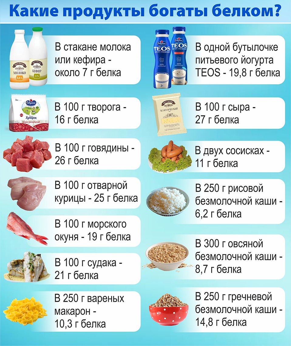 Топ-20 продуктов с самым высоким содержанием белка