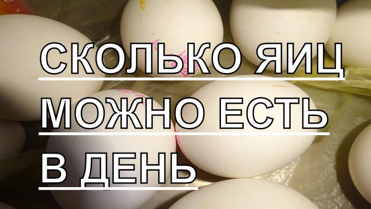 Сколько яиц можно есть в день детям, взрослым и спортсменам