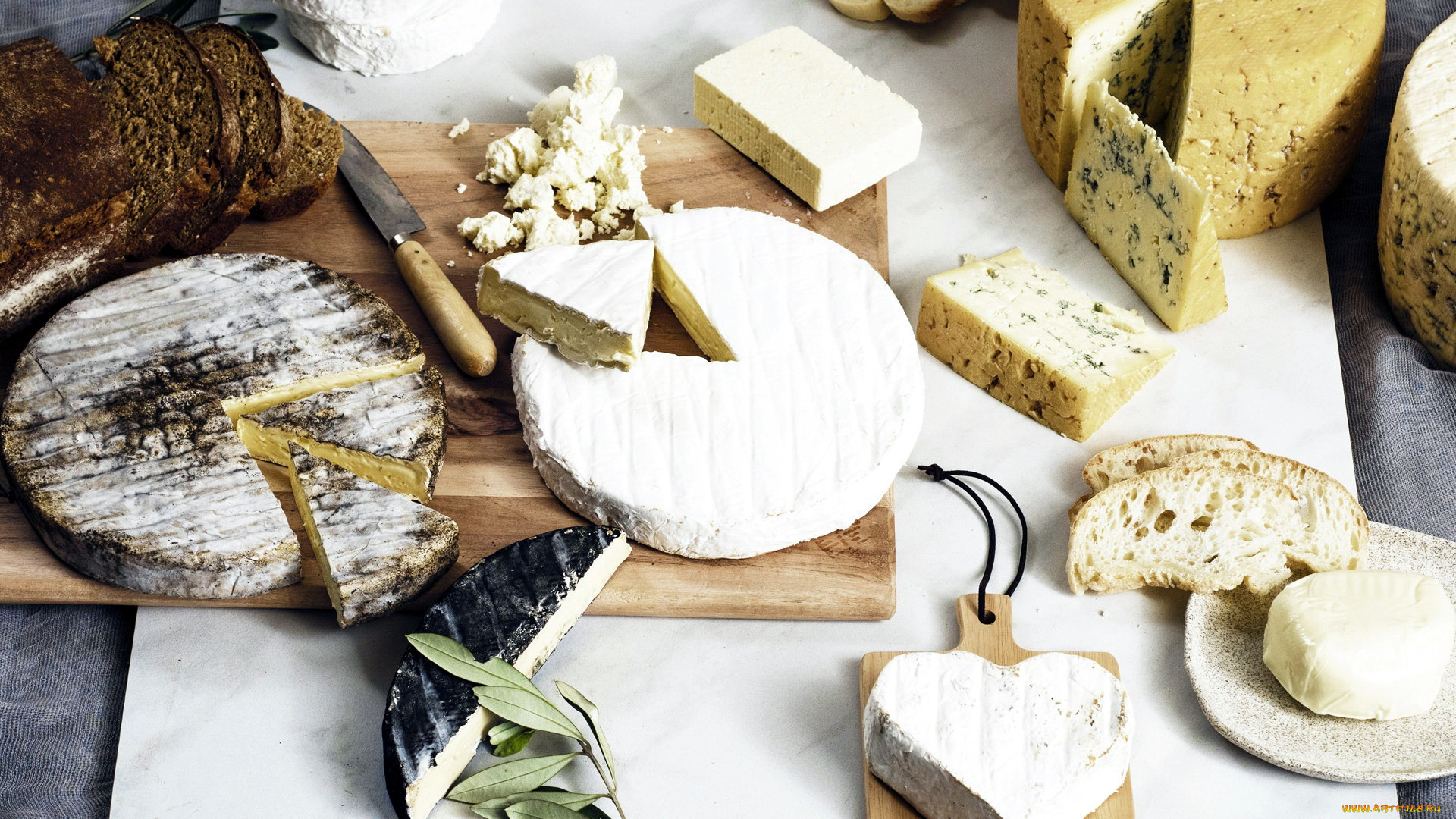 Сыр камамбер: польза, вред, рецепты, приготовление