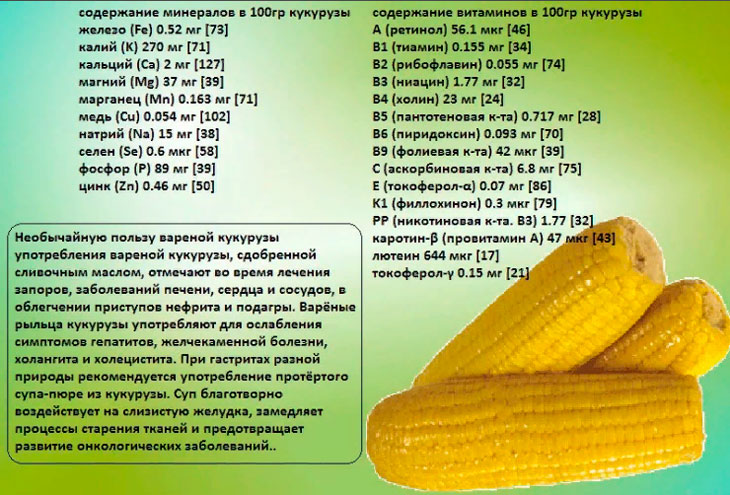 Кукурузное масло - полезые свойства и противопоказания, использование в пищу и для лечения