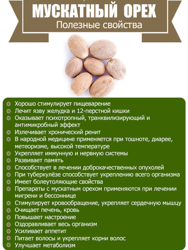 Орех макадамия: состав, калорийность, бжу на 100 грамм