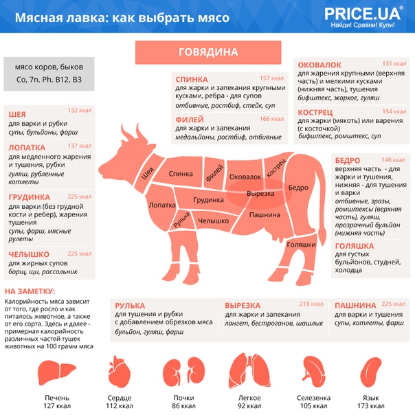 Узнайте как определить качество телятины. советы по выбору продукта из каталога на торговой платформе agro24.ru