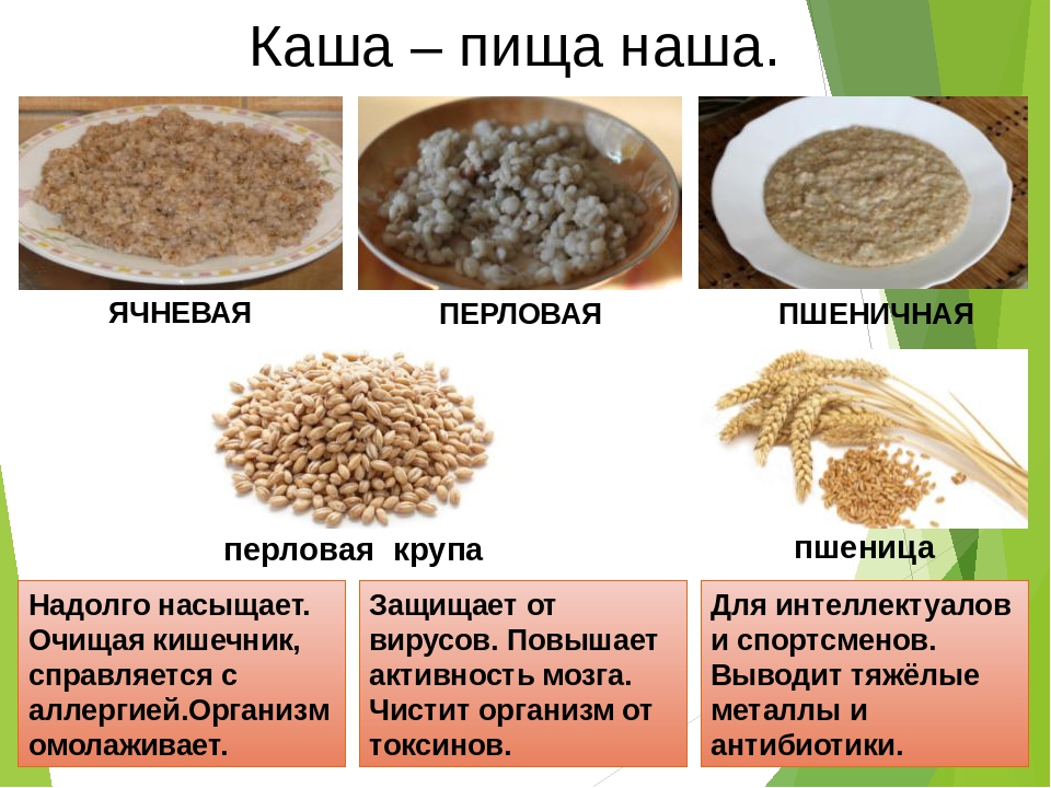 Пшеничная крупа: польза и вред для организма человека