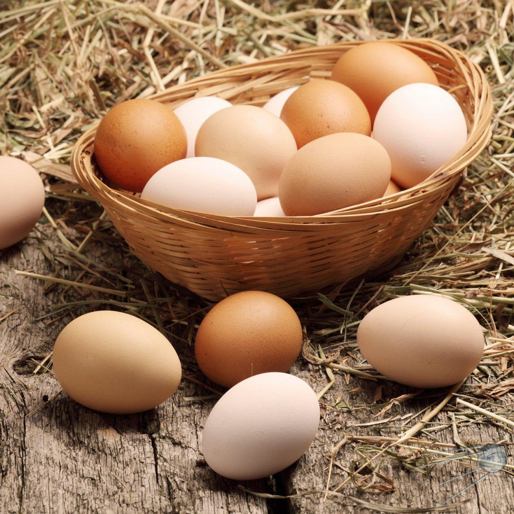Яичный белок - калорийность и свойства. польза яичного белка
