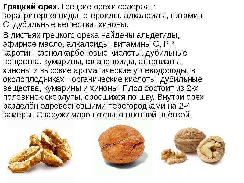Масло грецкого ореха: польза и вред