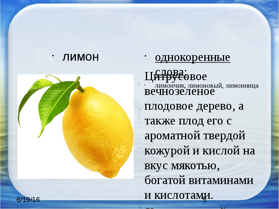 Манго фрукт польза и вред. описание. калорийность.