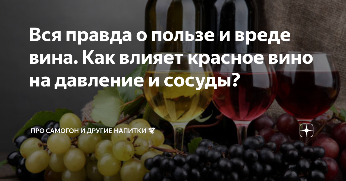 Красное сухое вино при похудении, можно ли пить вино на диете | доктор борменталь