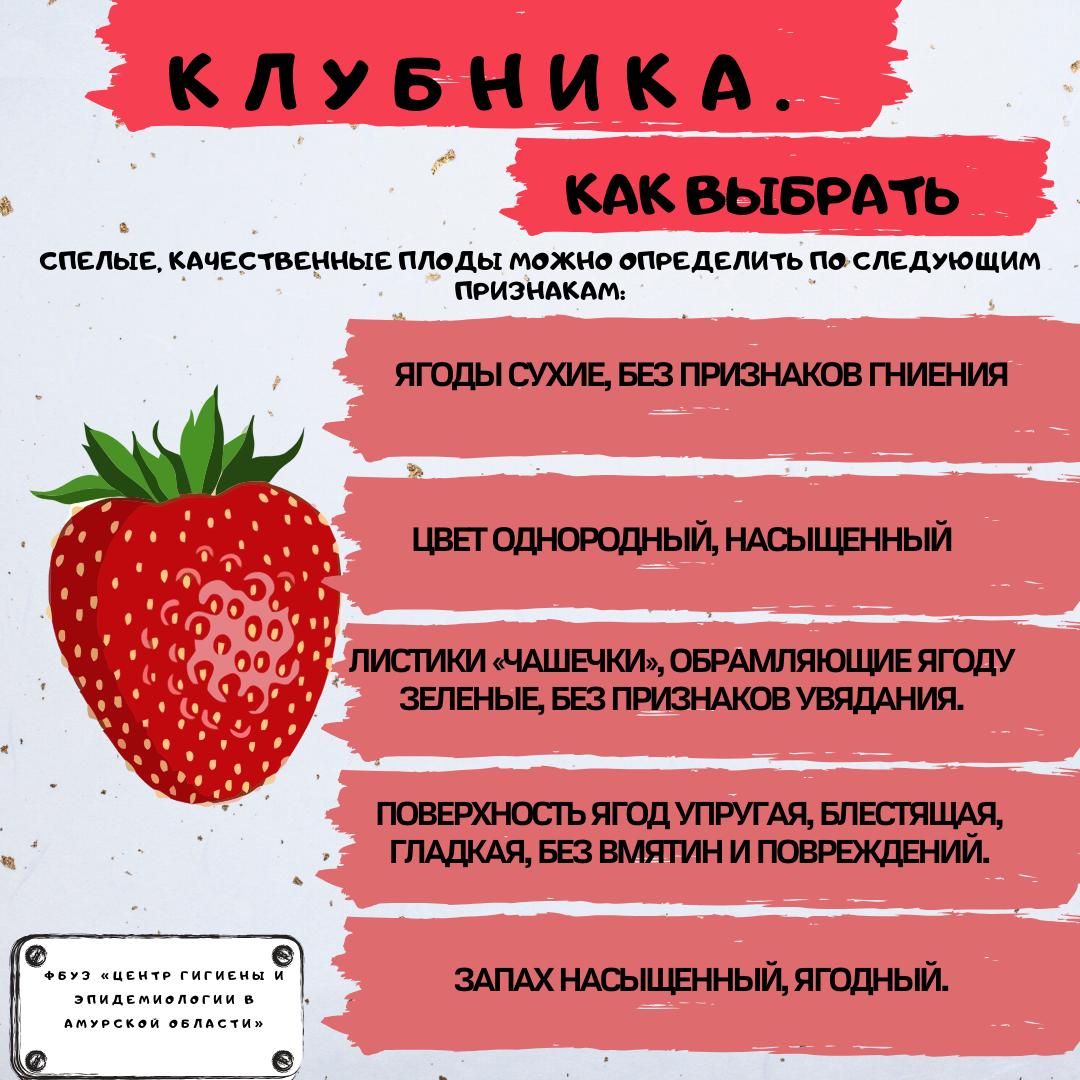 Костяника - описание, польза и вред ягоды для организма, состав и калорийность, фото