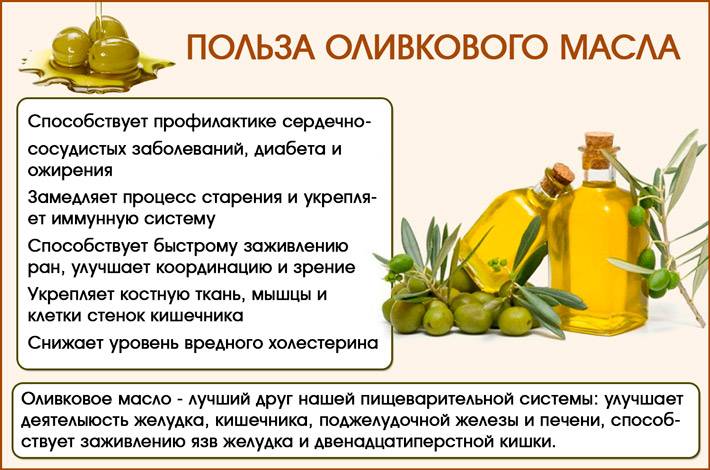 Оливковое масло: свойства и применение, польза и вред
