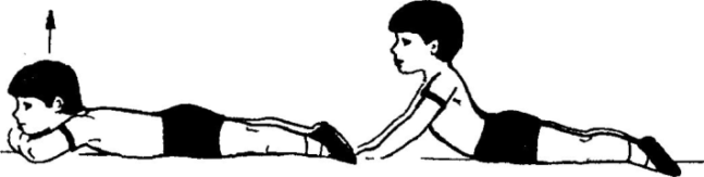 Подъём ног из упора лёжа: техника выполнения, какие мышцы работают
