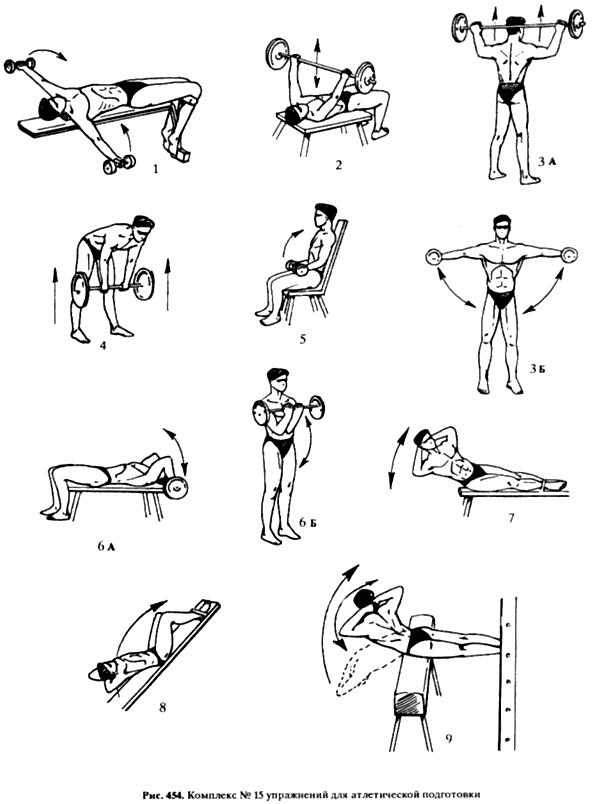 Атлетическая гимнастика примеры упражнений