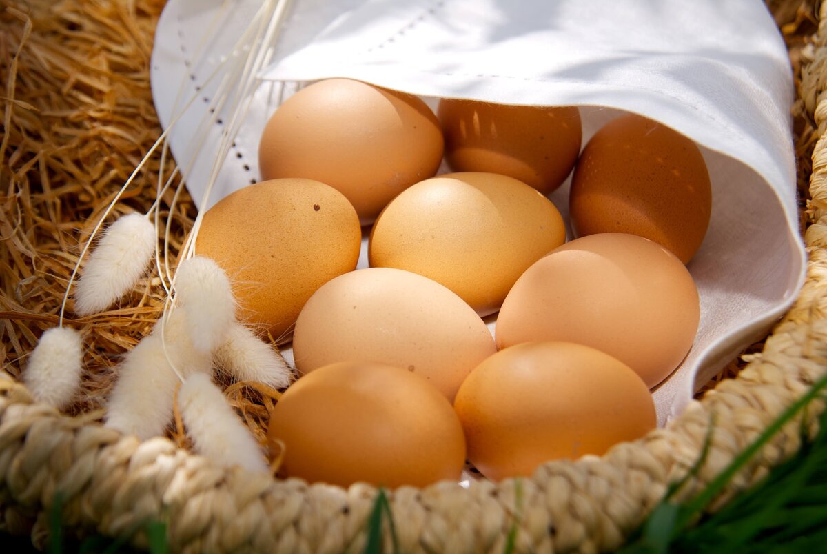 Сколько белка в желтке куриного яйца