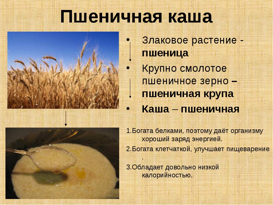 Крупа пшеничная полтавская 2 как варить. полтавская крупа: польза и вред, рецепты приготовления