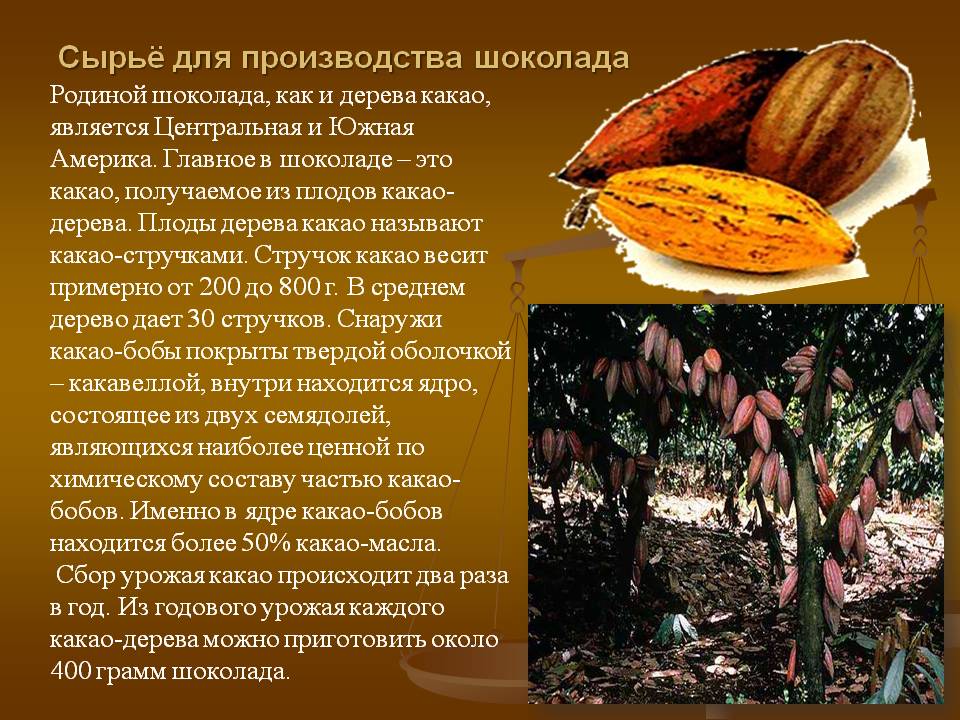 Какао-порошок - калорийность, полезные свойства, польза и вред, описание - www.calorizator.ru