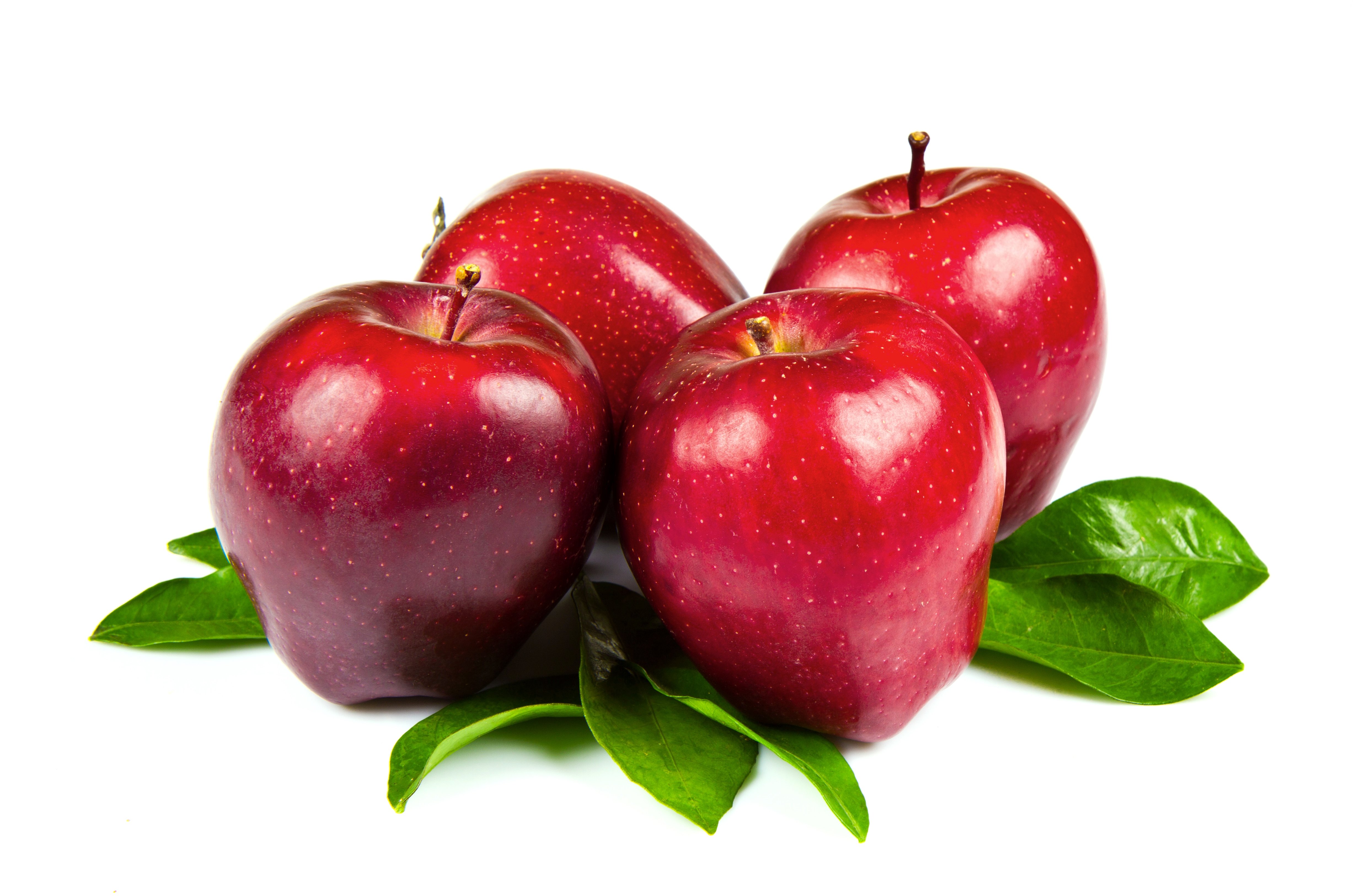 Гренни смит, яблоки: польза, вред и калорийность