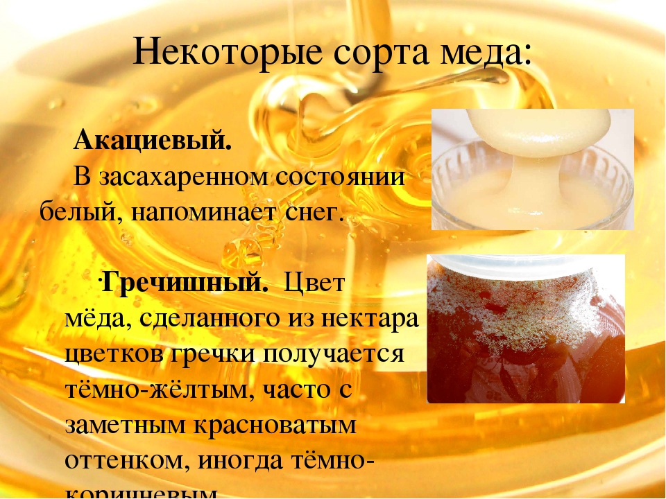 Гречишный мед: польза и вред. мед гречишный: противопоказания :: syl.ru