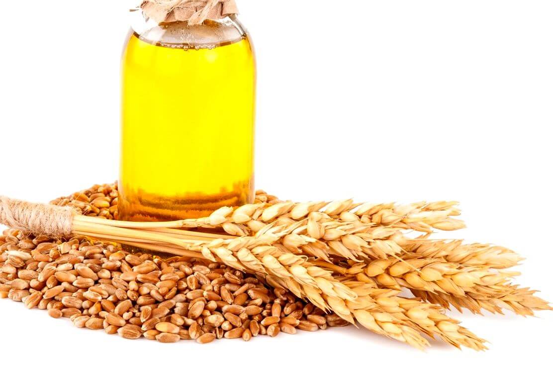 Масло зародышей пшеницы — польза для всего организма