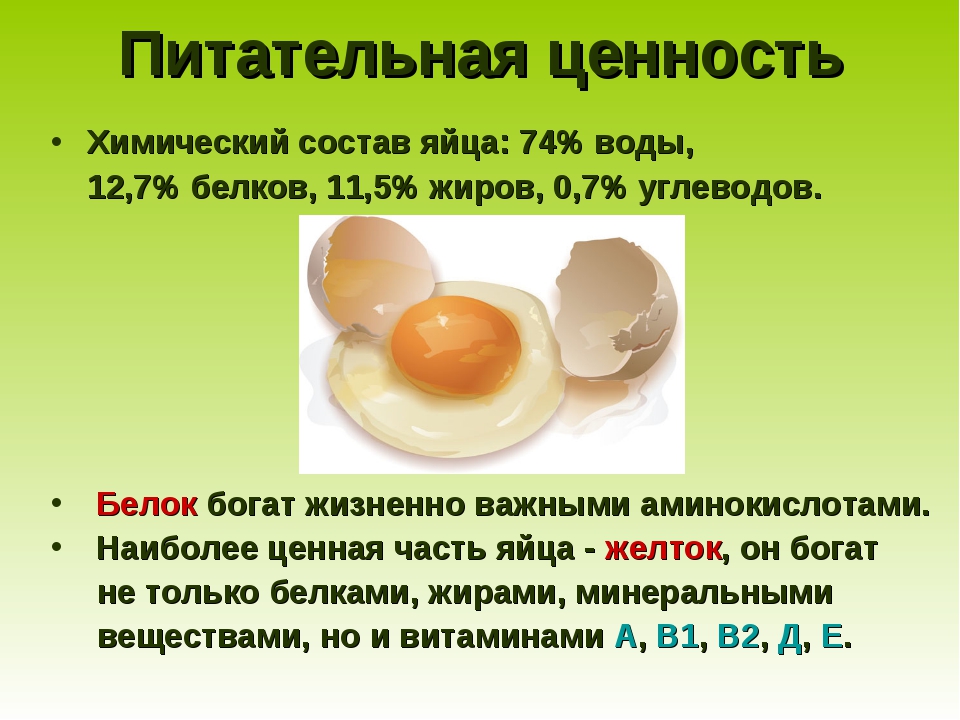 Яичный порошок: как использовать? простые рецепты из яичного порошка. омлет из яичного порошка