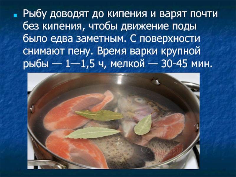 Камбала в духовке - 10 рецептов приготовления с пошаговыми фото