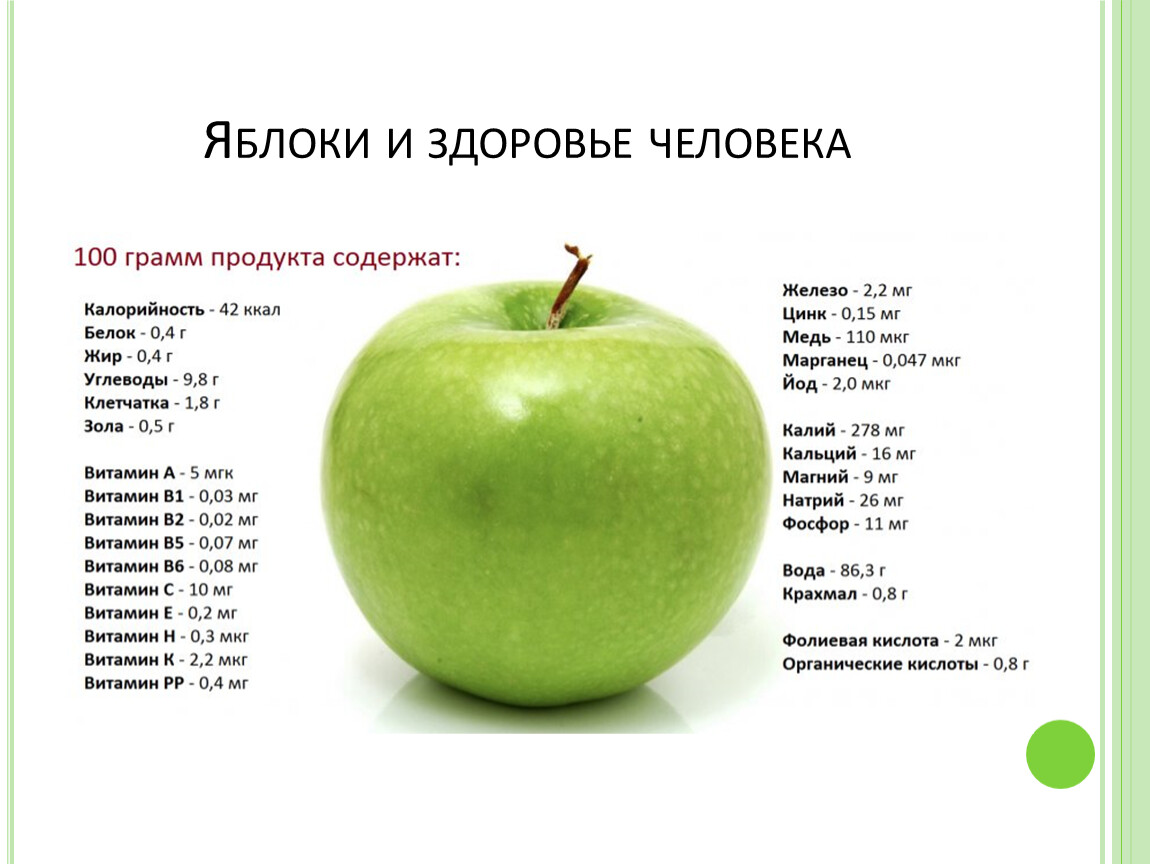 Яблоки: польза и вред для организма человека, состав, калорийность