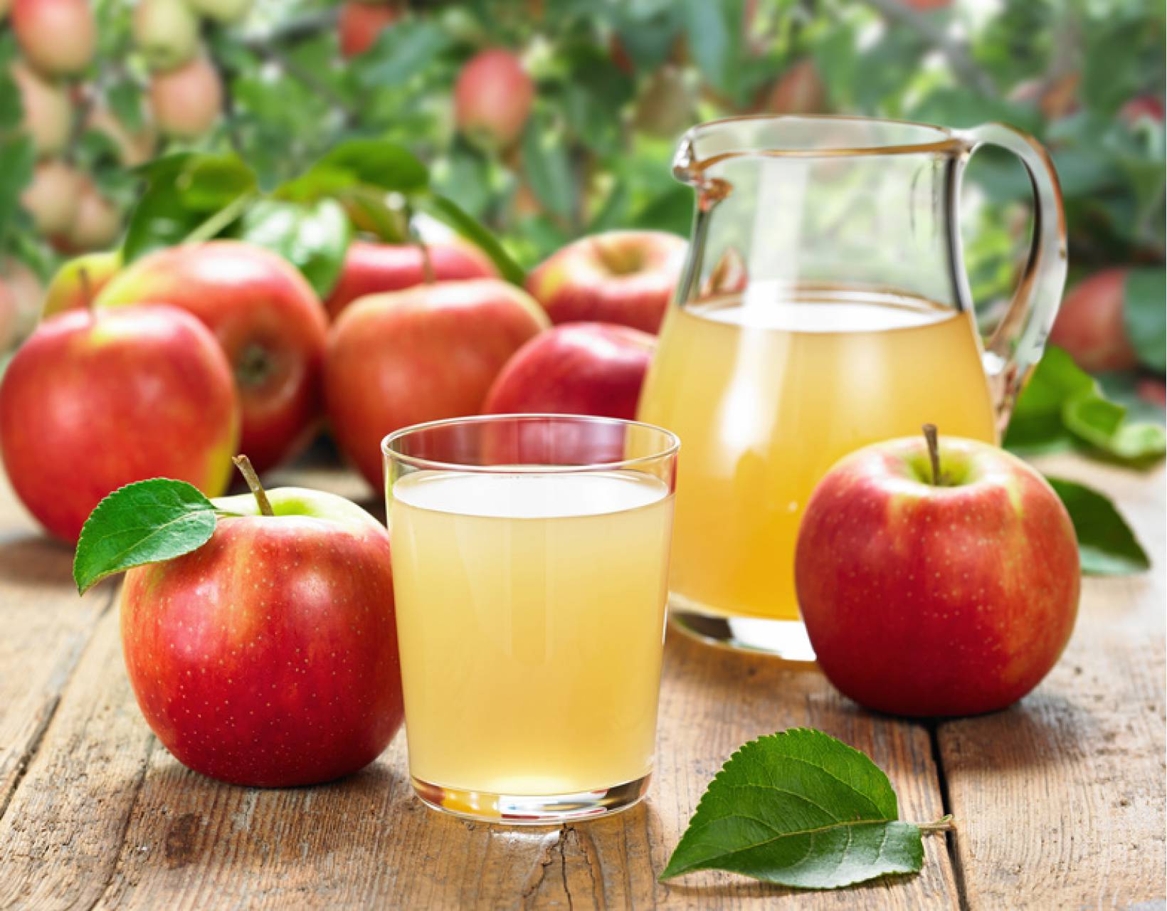 Яблочный сидр – польза и вред, сравнение с пивом