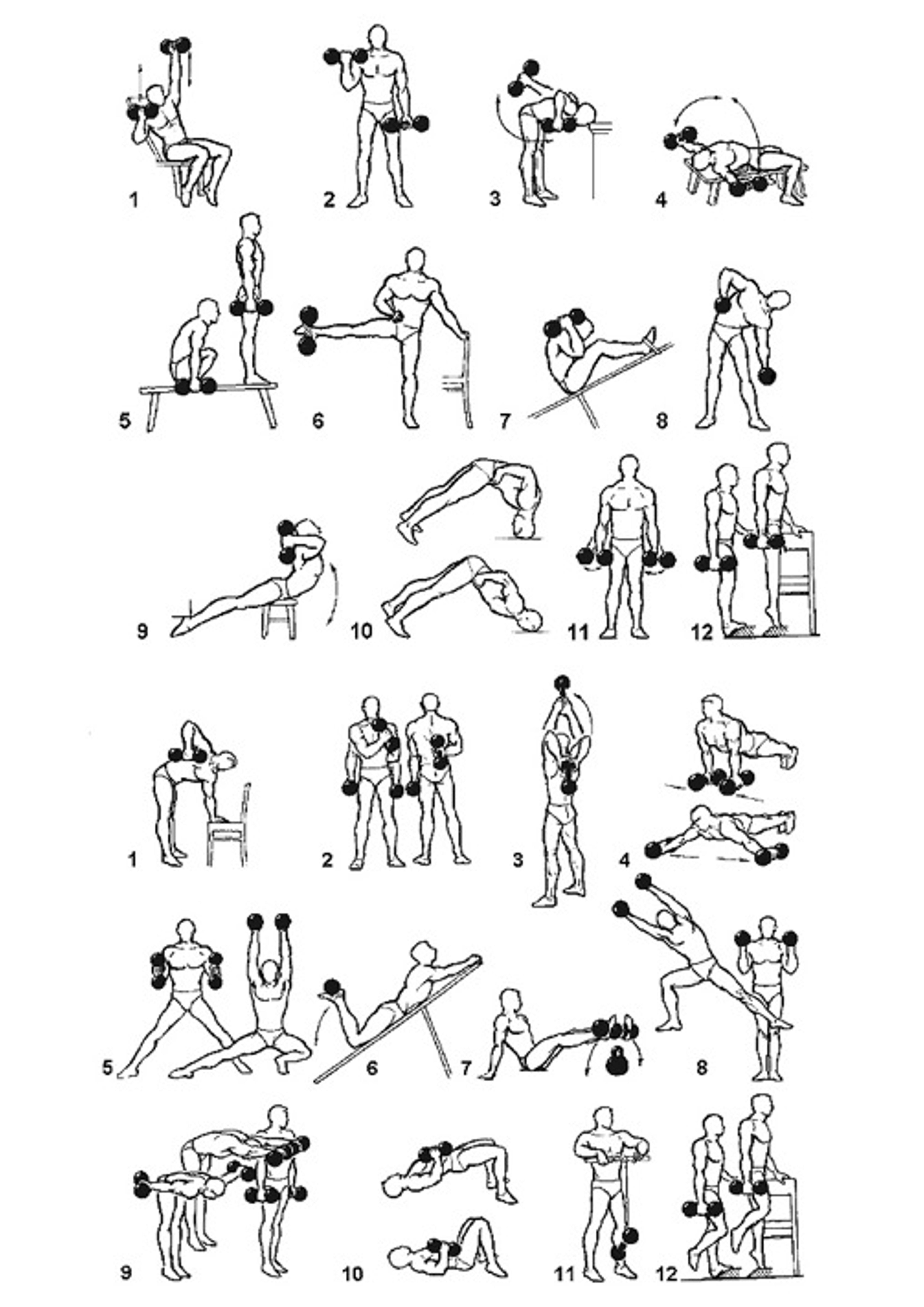 Комплексы упражнений со штангой или грифом для мужчин и женщин в домашних условиях | rulebody.ru — правила тела