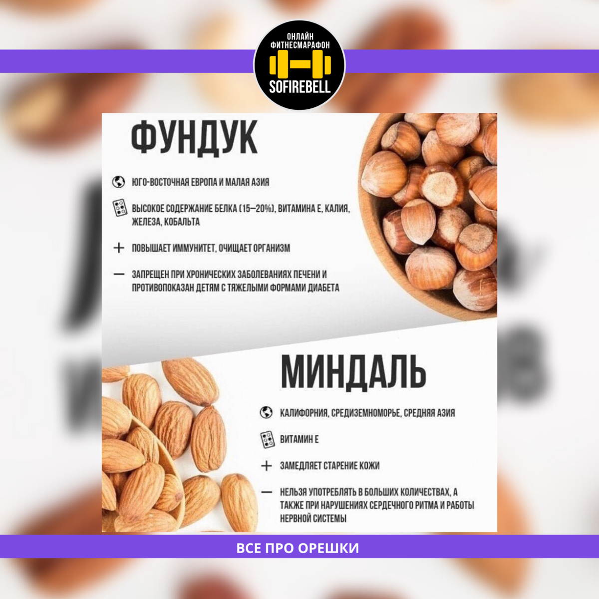 Польза и вред фундука: химический состав и калорийность ореха, значение для мужчин и женщин