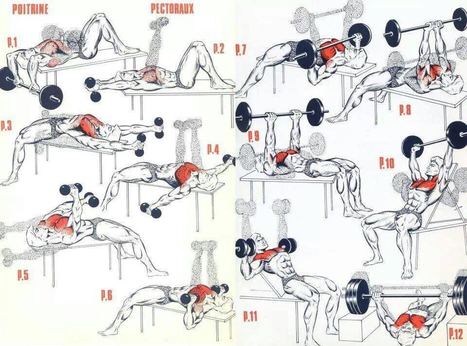Как накачать грудные мышцы для девушек чтобы грудь стала упругой и красивой Упражнения для тренировки в домашних условиях и в тренажерном зале