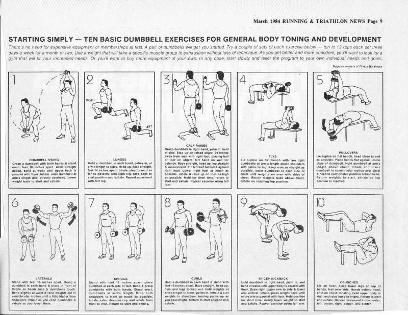 Лучшие 7 упражнений с гантелями на руки в домашних условиях + примеры программ тренировок