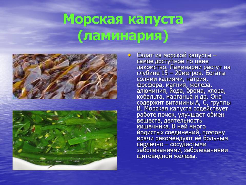 Морская капуста отличается рекордным содержанием полезных компонентов Употребляется в пищу ламинария в разных видах Особое внимание надо уделять степени свежести водорослей и соблюдению их правил хранения продавцами и производителями