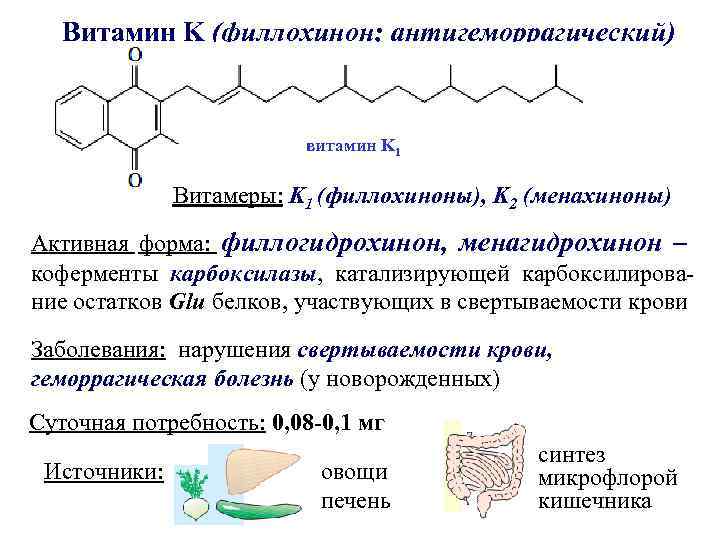Витамин k (филлохинон): описание, источники. польза и вред.