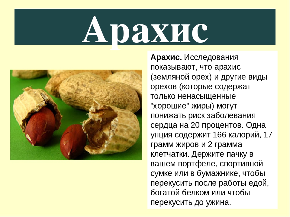 Арахис. польза, вред и калорийность продукта для организма