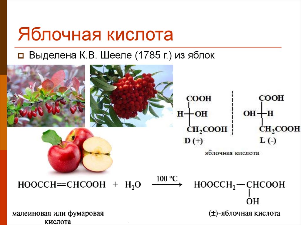 Яблочная кислота (е296)