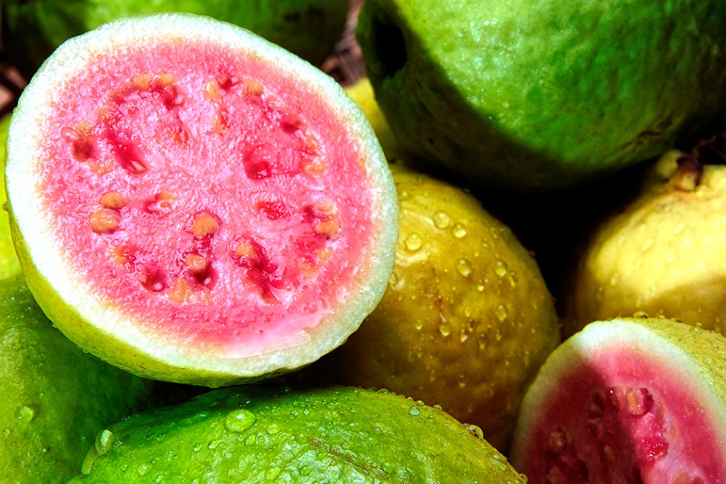 Гуава (фрукт). полезные свойства, состав, калорийность