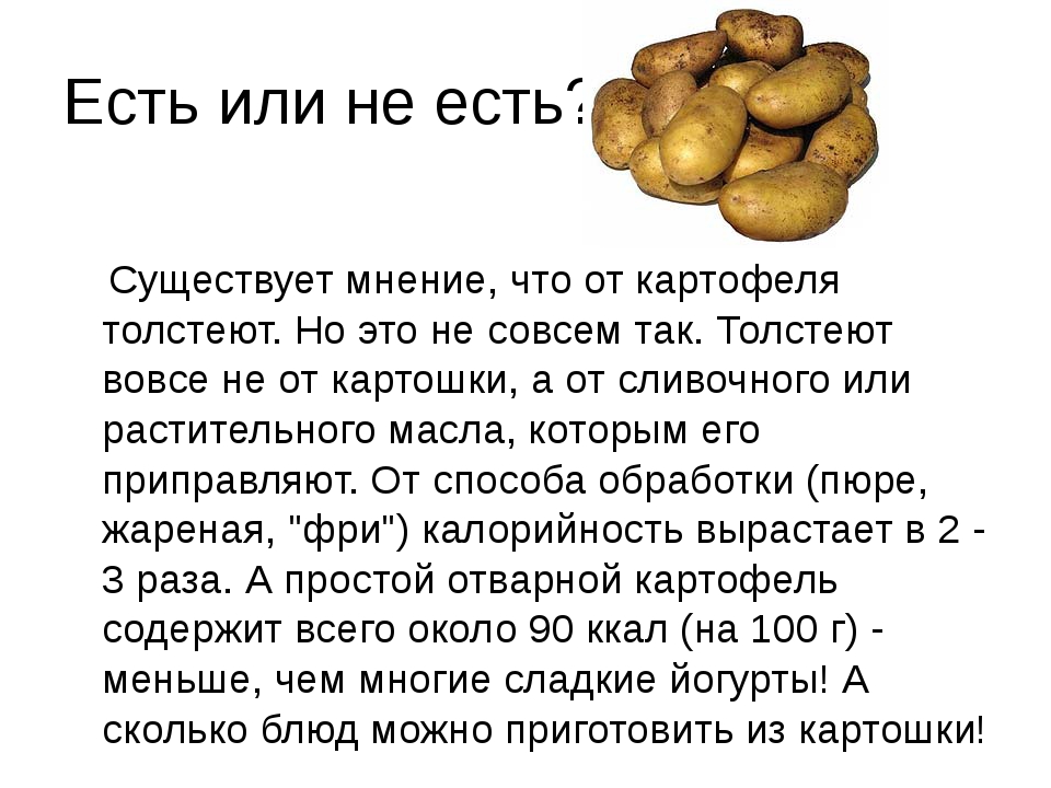 Сколько грамм в 1 картошке? - подборки лучших рецептов