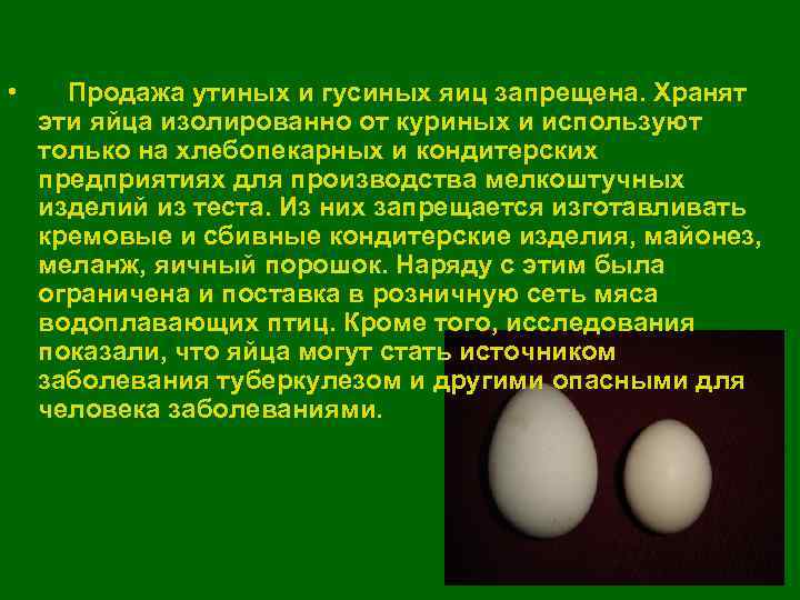 Гусиные яйца - польза и вред для здоровья