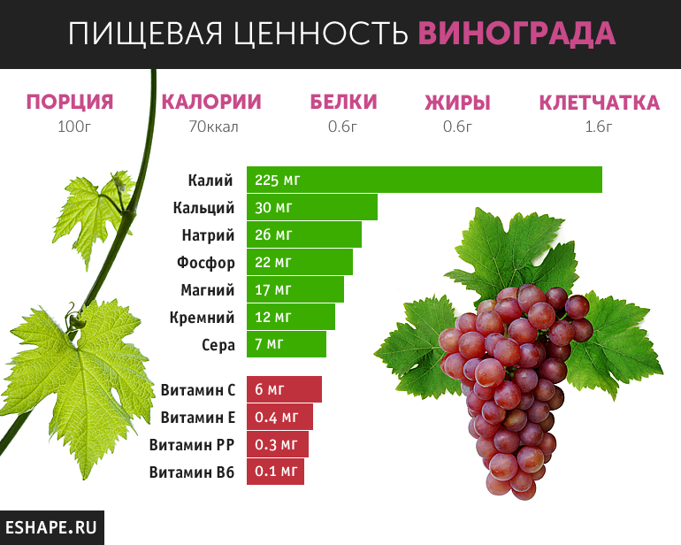 Виноград изабелла – польза и вред для организма, полезные свойства сока, компота
