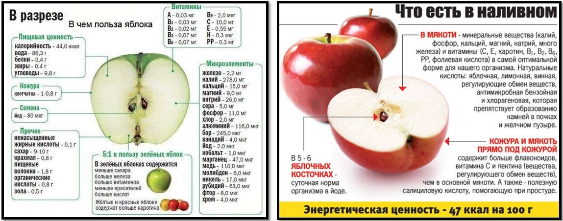 Сколько калорий в яблоке: таблица калорийности всех видов с бжу в 100 граммах и 1 штуке