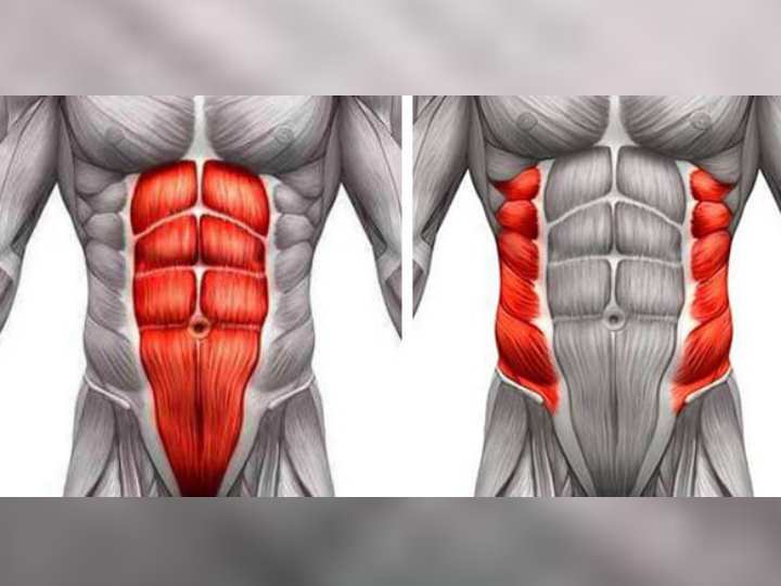 Как укрепить косые мышцы и прямую мышцу живота