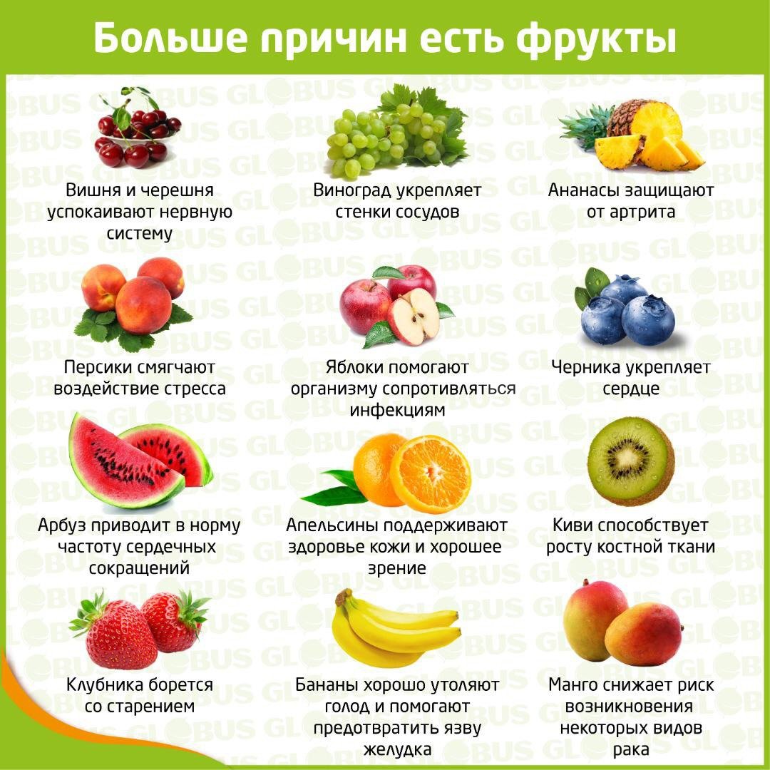 Самые полезные овощи и фрукты: топ 10 даров природы, без которых не обойтись зимой и осенью