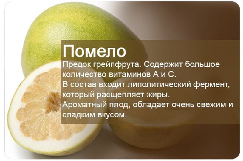 Цитрусовый фрукт помело: польза, вред, состав, рецепты