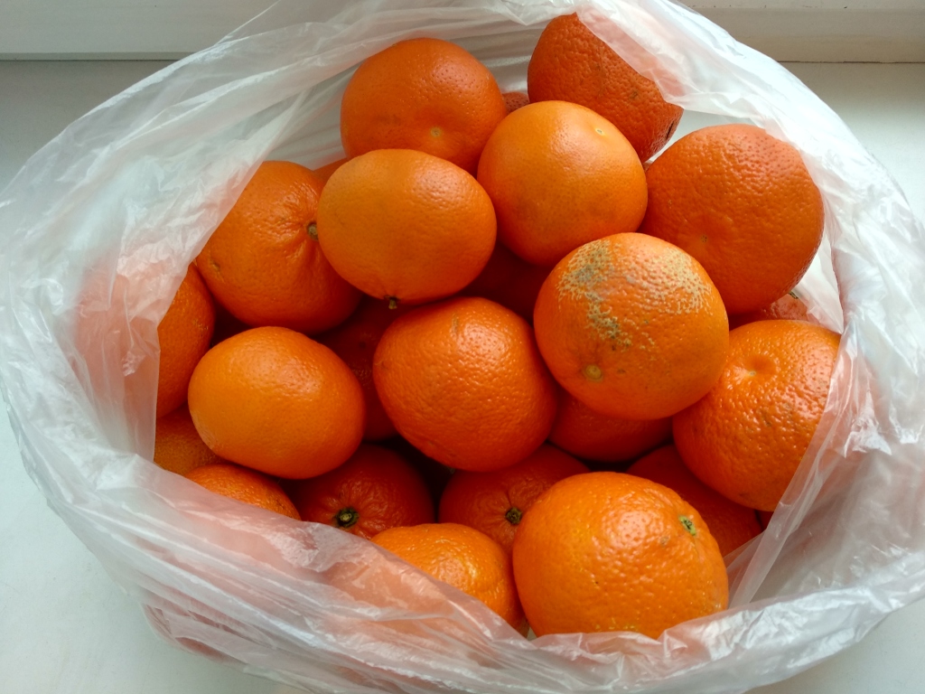 Как хранить апельсины в домашних условиях: какие способы и особенности