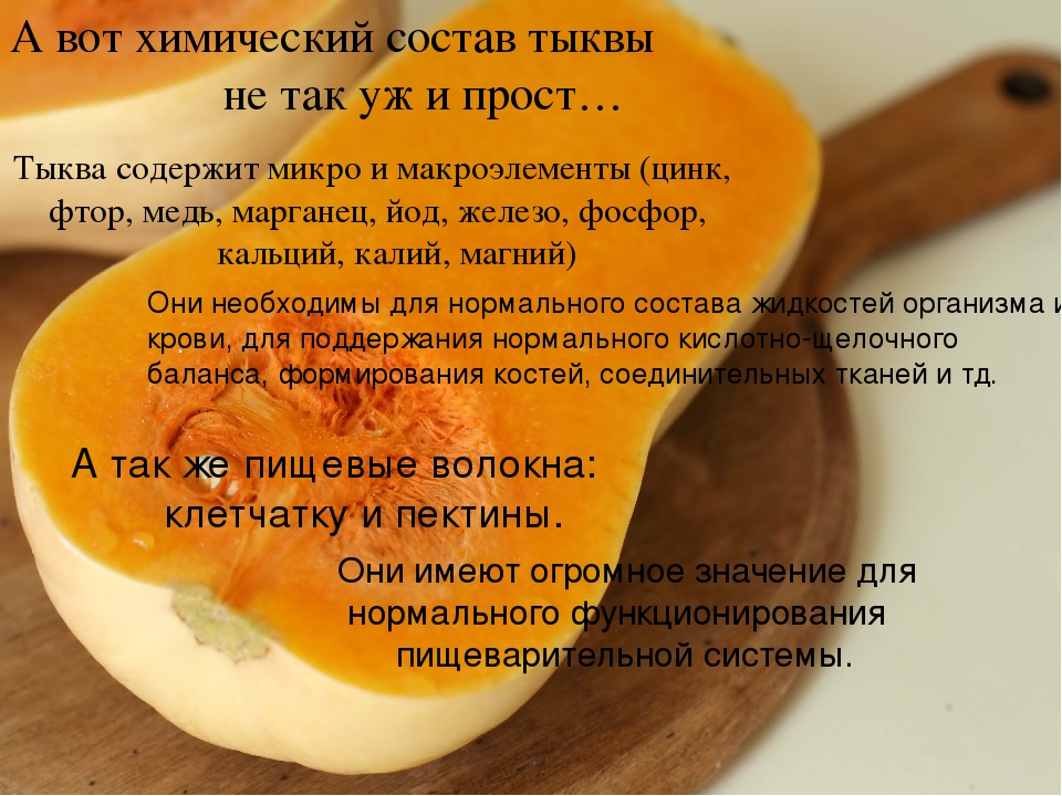 Полезные свойства семян тыквы и противопоказания для здоровья