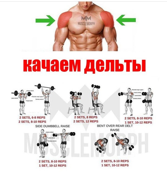 Расширение костяка плеч: упражнения, техника выполнения, фото - tony.ru