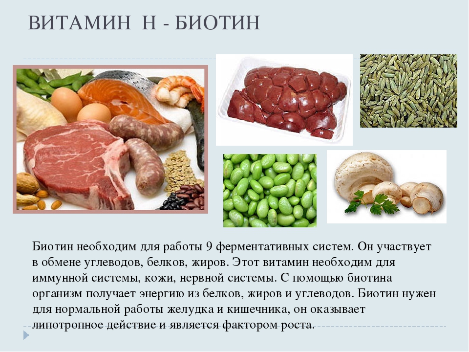 Биотин (витамин b7) – что это за витамин и для чего он нужен?