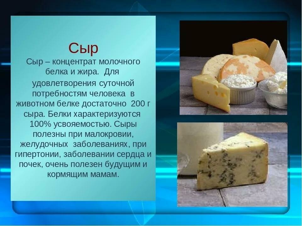Сыр: польза и вред для организма | польза и вред