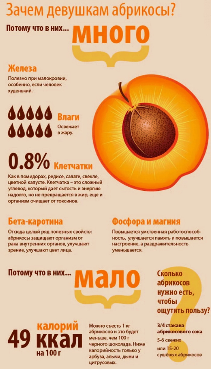 Сушёные абрикосы: польза и вред для организма человека, химический состав и калорийность