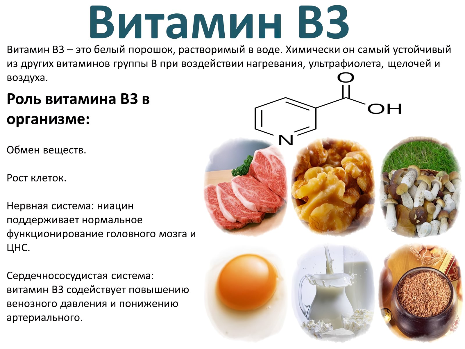 Витамин B3 Ниацин, никотиновая кислота, витамин PP - описание витамина, пищевые источники, польза и вред, суточная потребность, использование