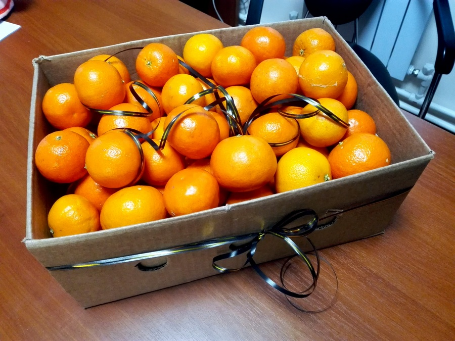 Храним апельсины. как в домашних условиях сохранить плоды до полугода